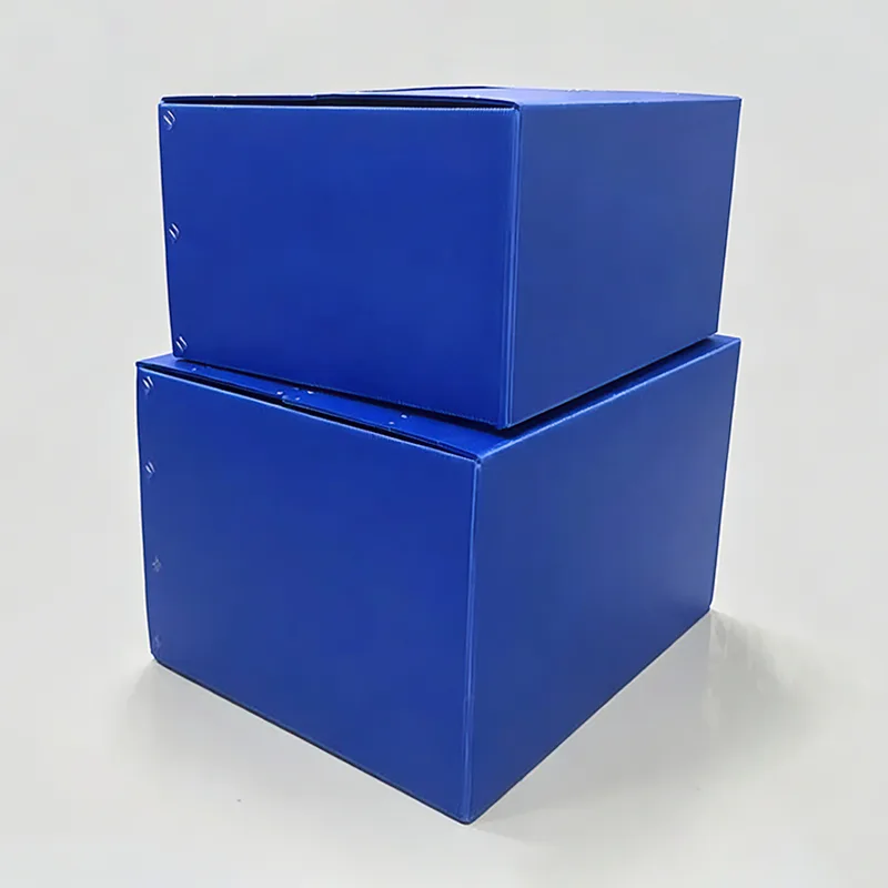 Scatola di ricambio standard in fogli forati in PP